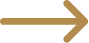 Icon Pfeil